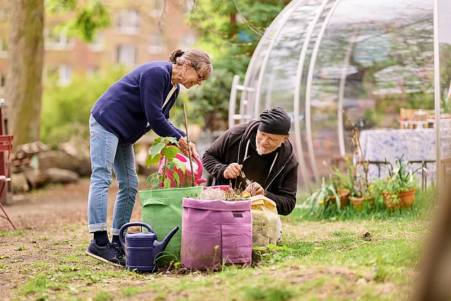 Eine Frau und ein Mann gärtnern zusammen